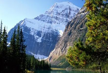 天涯社区扒王一博赵丽颖猛料大揭秘！